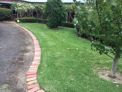 The lawn gang Mowing Service work 3