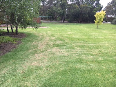 The lawn gang Mowing Service work 1