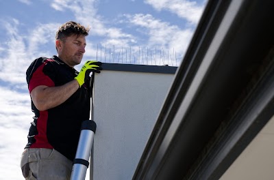 The Local Guys - Pest Control work 2