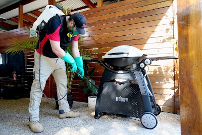 The Local Guys - Pest Control work 3