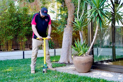 The Local Guys - Pest Control work 4