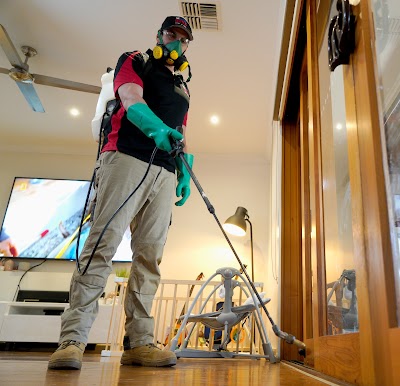 The Local Guys - Pest Control project 6