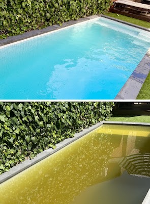 The One Pool Care Elsternwick project 4