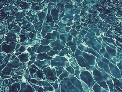 The One Pool Care Prahran photo 1