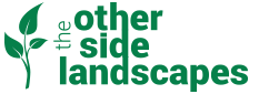 The Other Side Landscapes - Construction and Maintenance of Pools Gardens and Entertaining areas
