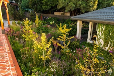 The Scape Artist work 4