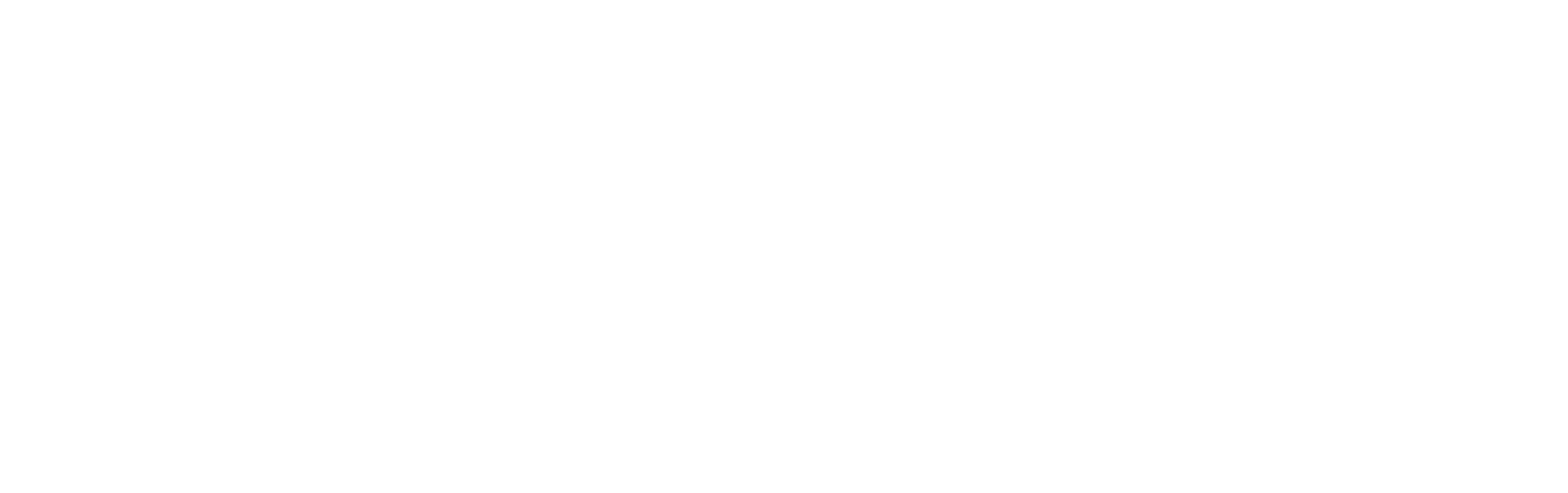 The Shady Landscaper & Garden Design