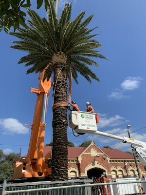 The Tree Company photo 3