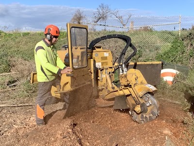 The Tree Company work 4