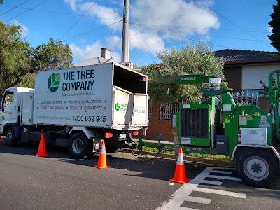 The Tree Company project 5