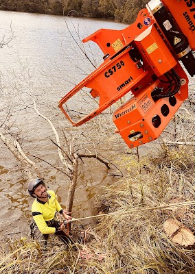 The Tree Company project 6