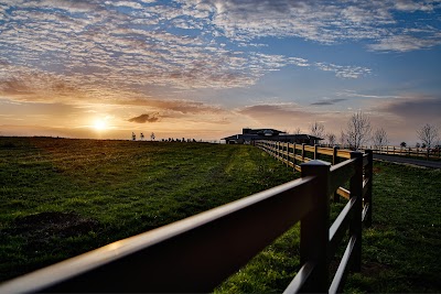 Think Fencing project 6