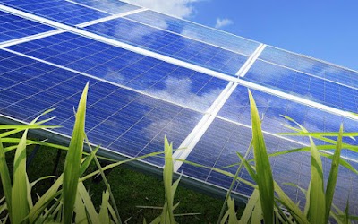 Think Water Orange photo 3