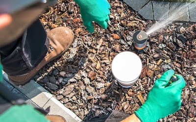 Think Water Orange project 6