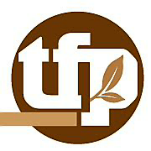 Timber Floor Specialists work 4