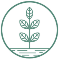 Tom Connell Landscapes