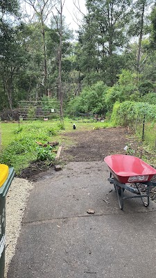 Top Cut Tree Services project 5