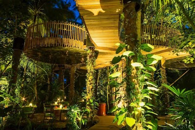 Topo Design Studio Pty Ltd work 4