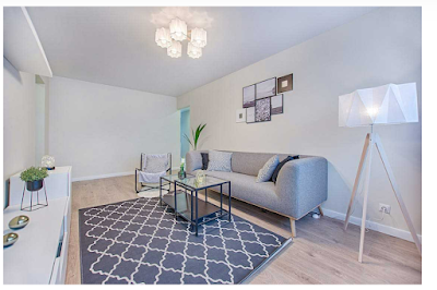 Totally Green Cleaning Solutions project 5