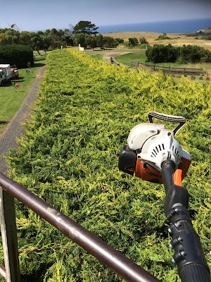 Tree Culture Arborists work 4