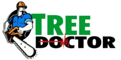 Tree Doctor Tasmania