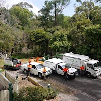 Tree FX Quality Tree Management