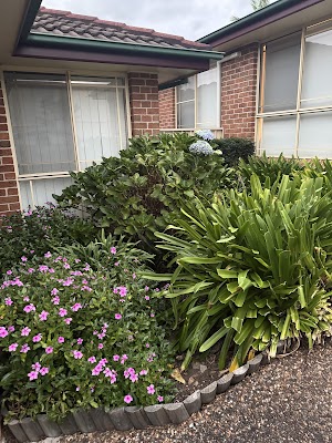 Tree Loppers and Tree Removal Menai project 5