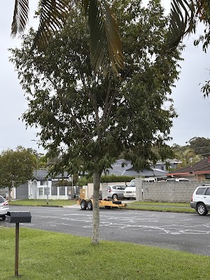 Tree Loppers and Tree Removal Menai