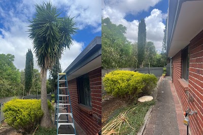 Tree Removal Adelaide work 2