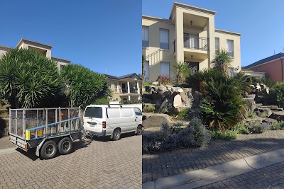Tree Removal Adelaide work 4