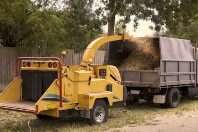 Tree Removal Adelaide