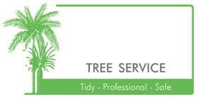 Trees Palms and Stumps