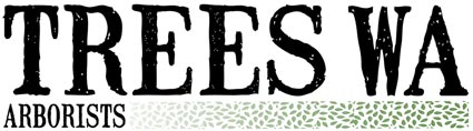 Trees WA