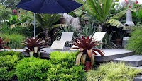 Trimscapes Landscaping Brisbane