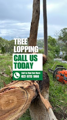 True Blue Tree Lopping