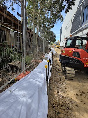 True Roots project 5