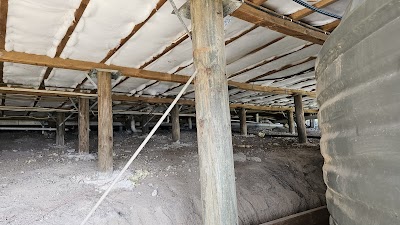 TT's Activities Home Insulation