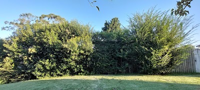 Ultimate Tree Specialist photo 3