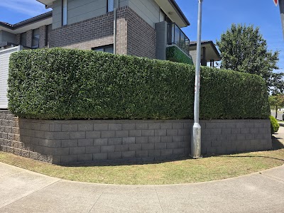 Valenti and Son's Lawn Mowing work 2