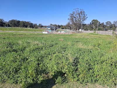 Valenti and Son's Lawn Mowing work 4
