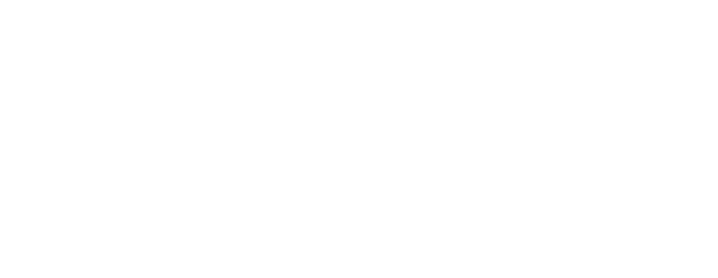 Van Diemen's Land Irrigation Pty Ltd