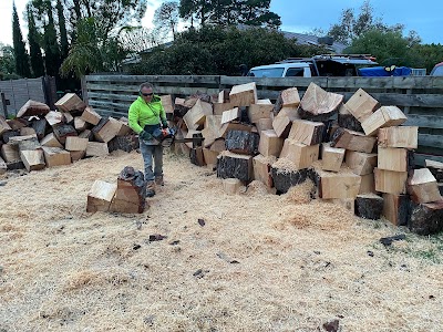 Victorian Tree Specialists photo 2