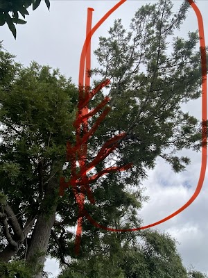 Victorian Tree Specialists project 5