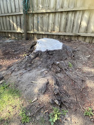 Victorian Tree Specialists photo 1