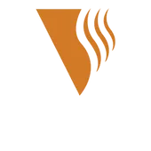 Vinsan Home Demolition