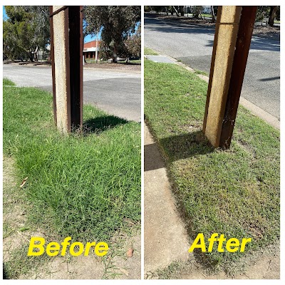 Vision Landscaping and Gardening