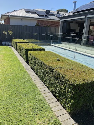 Vision Landscaping and Gardening project 5