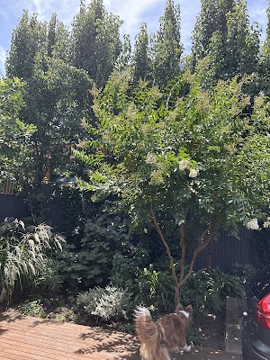 VividGreen project 6