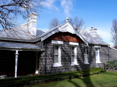 Wallaby Painting project 5