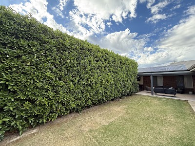 Westside Yard Care photo 2